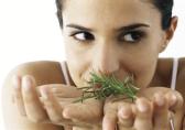 Herbs for Bad Breath